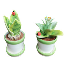 2 Cactus Piante grasse in ceramica finte da interno artificiale coccinella fiore