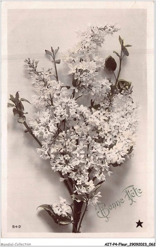 Aitp4 fiori 0342 buon - aitp4-fiori-0342,