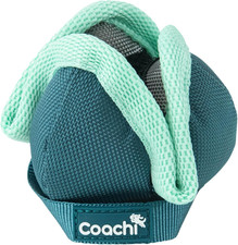Coachi Chase & Treat Gioco