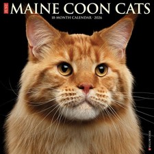 , Just Maine Coon Cats 2026