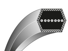 Cinghia movimento lame MAORI