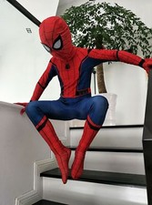 Incredibile Costume Spider-Man