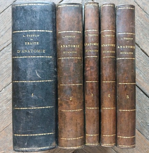 Léo testut traité anatomie - léo, testut-traité