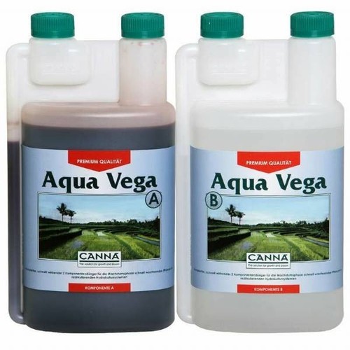 Canna aqua vega - canna, a+b