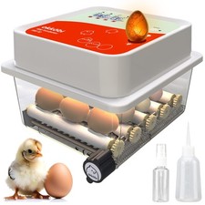 INCUBATRICE UOVA 12 POSTI AUTOMATICA DIGITALE PER GALLINE ANATRE QUAGLIE TEMPERA