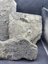 Minerali ** Lotto 3pz Ambra