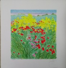 Franco azzinari litografia - azzinari,