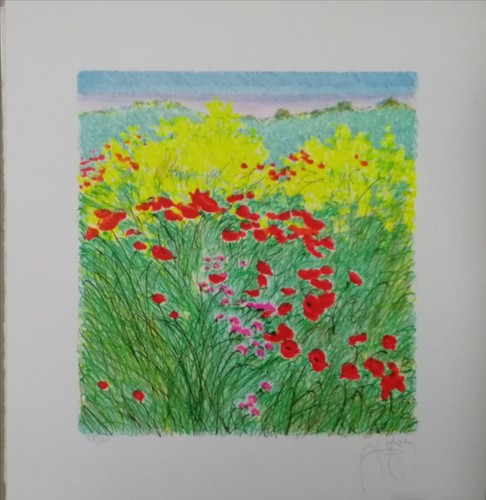 Franco azzinari litografia - franco,