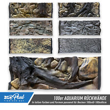 🦎 Parete posteriore