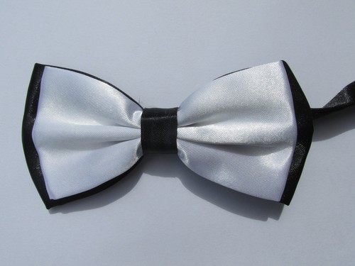 Papillon farfalla seta - farfalla,