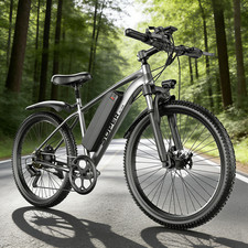 Bicicletta Elettrica 26