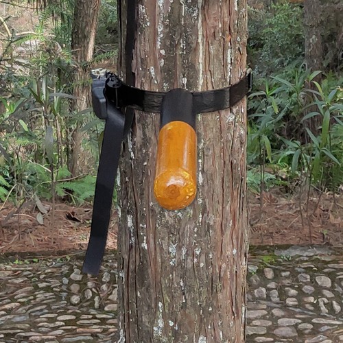 Wing chun chinese kong - wing,