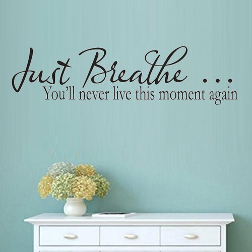 Vinili parete decorazione - ,
