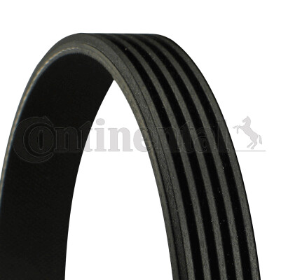 Continental ctam 5pk950 - continental,