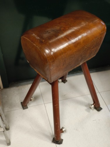 Cavallina palestra vintage - cavallina,