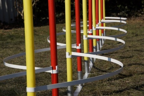 Agility archi slalomb - agility-archi,