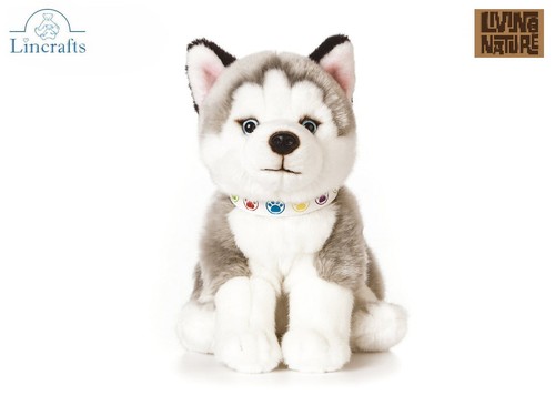 Peluche cucciolo husky - , seduto