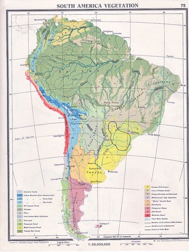 1961 mappa vegetazione - ~,