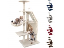 TIRAGRAFFI PER GATTI