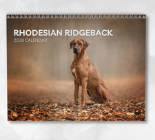 Rhodesian Ridgeback Calendar 2026: Calendario mensile da parete con note, si apre su A3