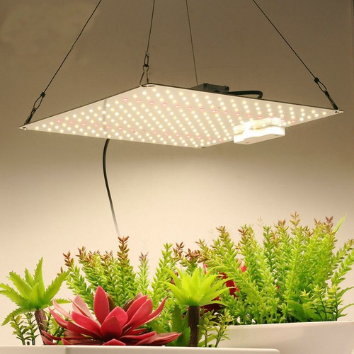 Lampada led coltivazione 1000w - lampada,