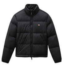 Giacca Dickies W Alatna Jacket