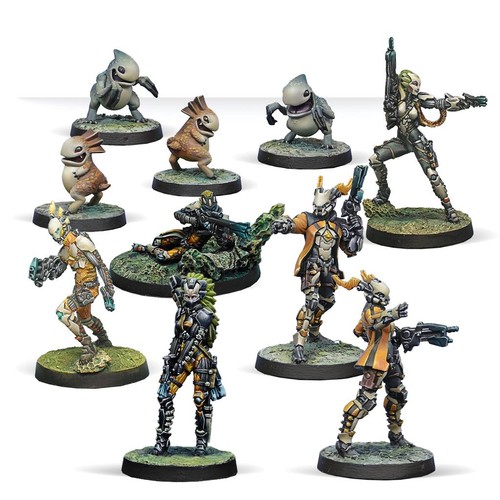 Infinity tohaa combat force - combat,