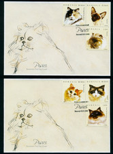 2006 gatti, chat, gatto