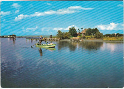 Grado gorizia case - -, di