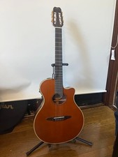 Chitarra acustica elettrica