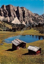 Cartolina - Postcard - Dolomiti - Val Gardena - Alpe Mastlè - Stevia - 1969
