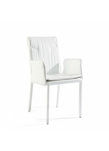 Chair sedia con - sedia,