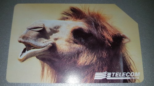 Scheda telefonica 5000 - 5000, animali