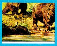 DINOSAURS/ANIMALI