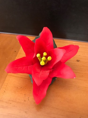 Capodimonte fabar poinsettia