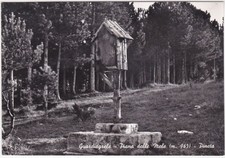 GUARDIAGRELE - CHIETI - PIANA DELLE MELE - PINETA -24185-