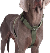 Pettorina Cane Taglia Grande