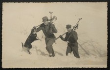 162 esercito con cane neve - cane,,
