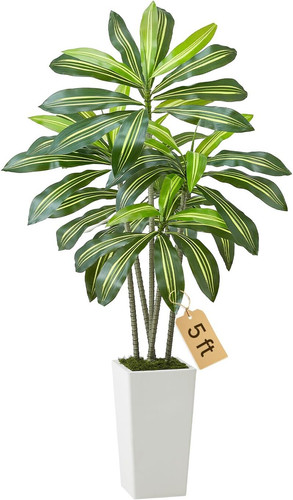 Dracena artificiale 1524 - dracena,
