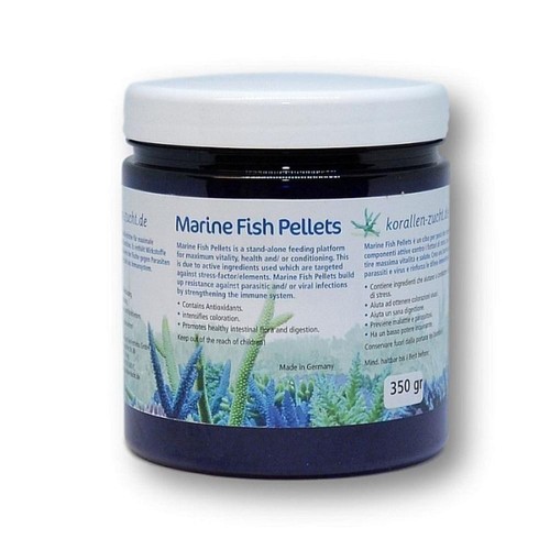 Korallen zucht marine - marine, fish