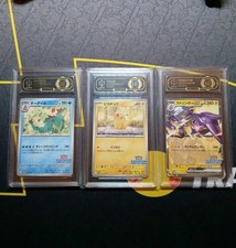 2025 Pokemon Concorso