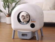 Toilette per Gatti Autopulente