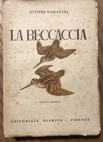Ettore garavini beccaccia - ettore, la