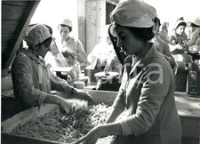 1973 abruzzo corsa - abruzzo, al