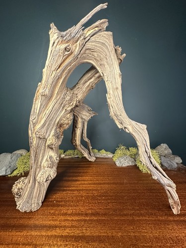 Ramo legno alla deriva - legno,