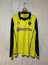 BORUSSIA DORTMUND 2013 2014