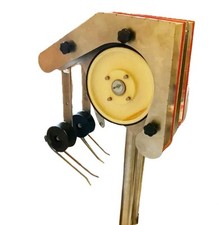 Salpa Palamito Palangaro Pesca