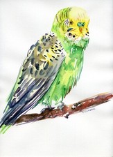 Quadro acquerello arte