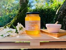 Miele Acacia Biologico 500g