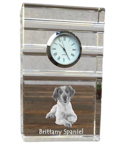 Bracco breton - bracco, da